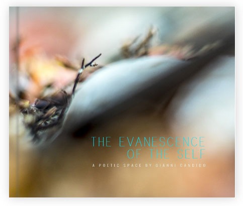 The Evanescence of The Self - A book by Gianni Candido